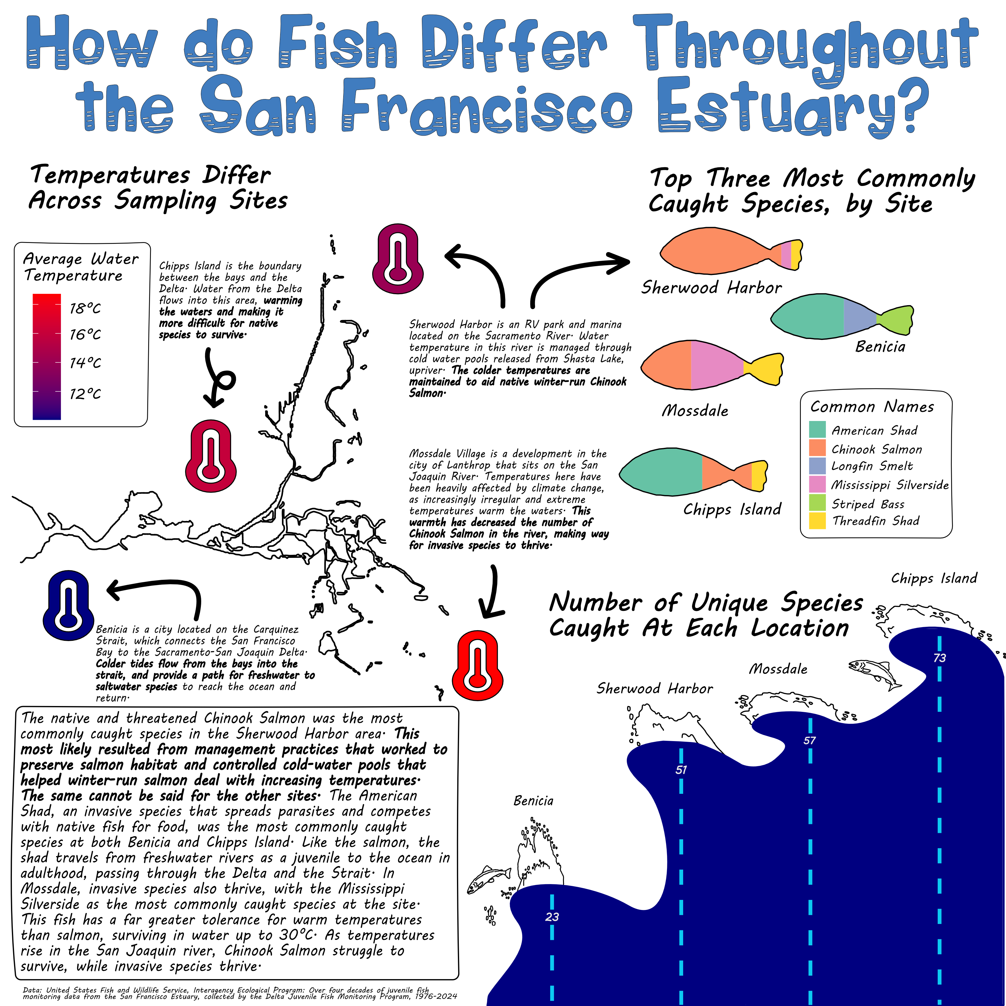 An infographic with the title: How do Fish and Other Marine Species Differ Throughout the San Francisco Estuary. The infographic contains three separate plots. The first plot is titled, the three most caught species at each site. The plot is a bar chart made into the shape of fish, where each bar is a different location (Benicia, Chipps Island, Sherwood Harbor, and Mossdale). The second plot is a bar chart titled, Number of Unique Species Caught at Each Location. These bars are made into the shape of waves, and each bar is from each location (Benicia, Chipps Island, Sherwood Harbor, and Mossdale). The third plot is a scatter plot titled, Temperatures Differ Across Sampling Sites. Each point is in the shape of a thermometer and is colored by temperature